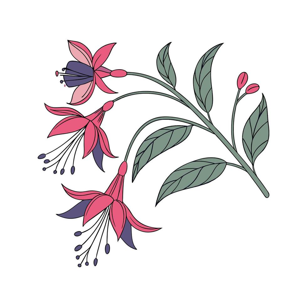 Artistic Larkspur Flower Design vector