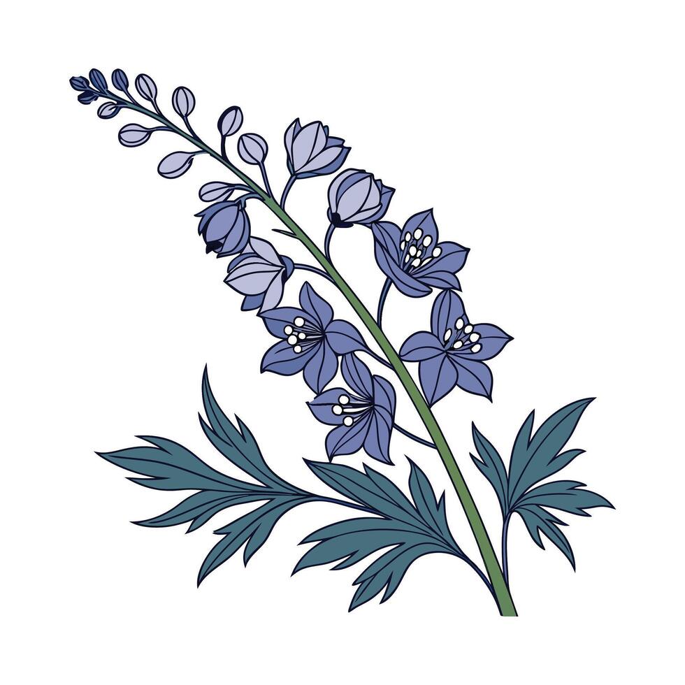 Beautiful Larkspur Floral Artwork vector