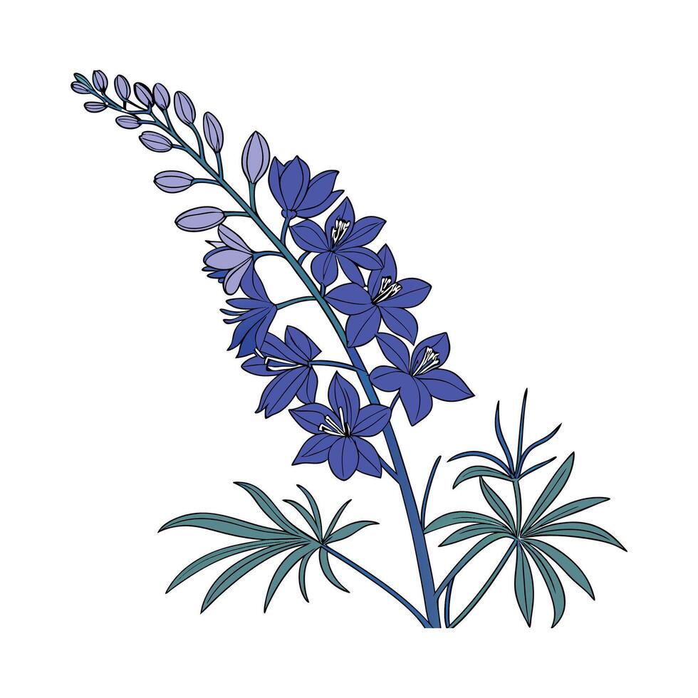 Artistic Larkspur Illustration vector