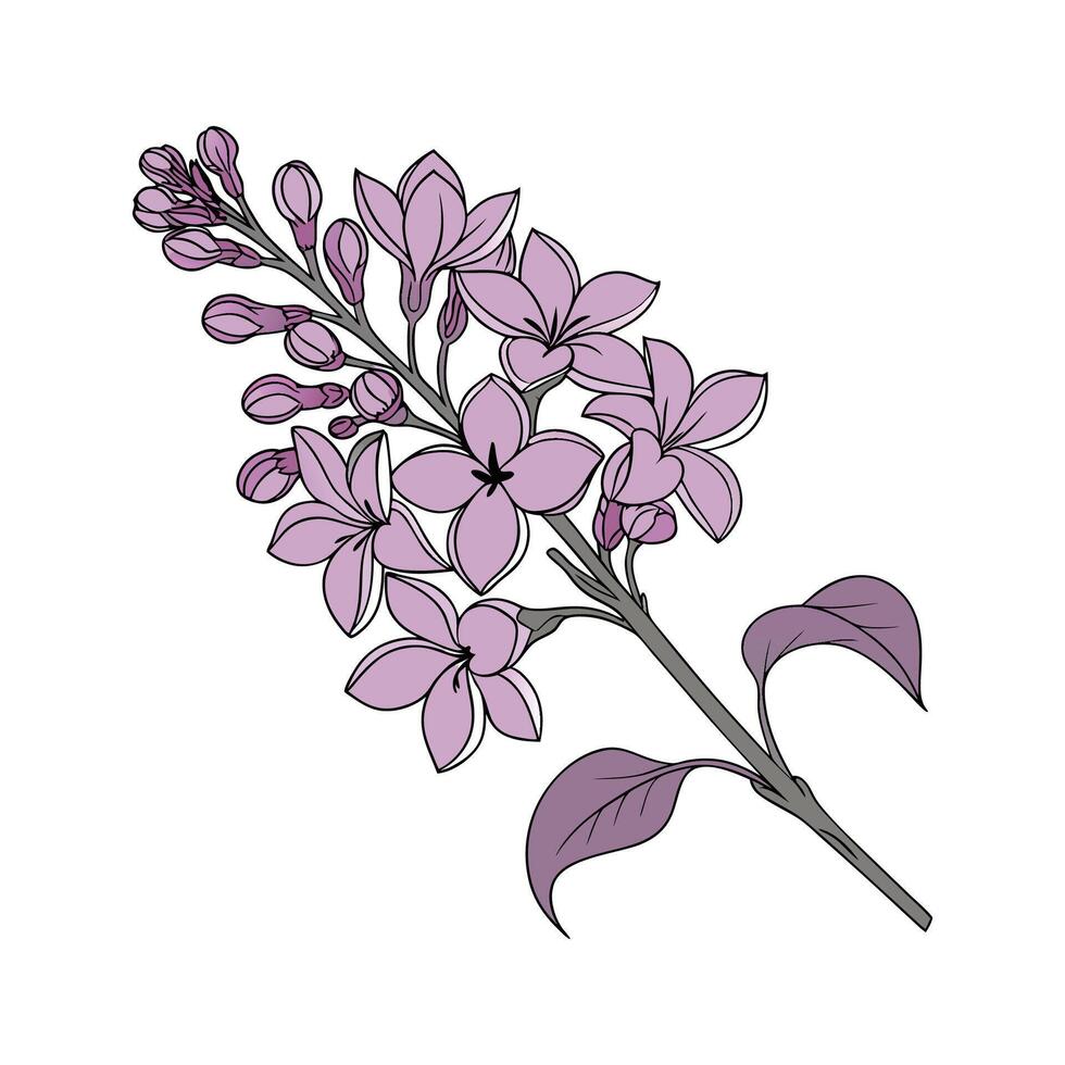 Charming Lilac Floral Design vector