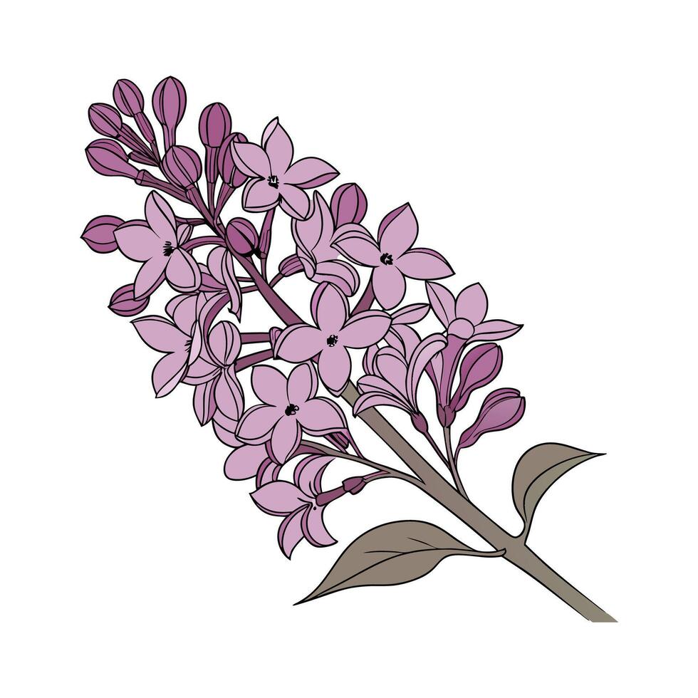 Elegant Lilac Flower Design vector