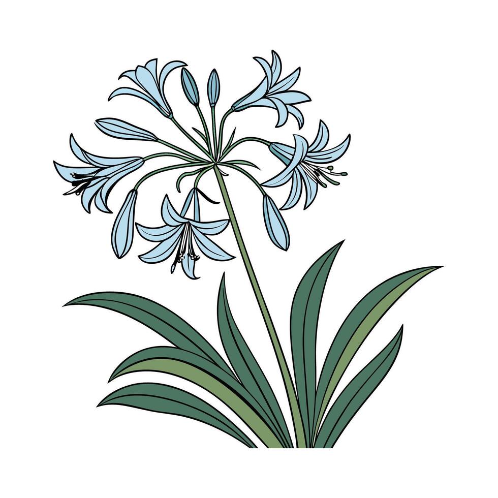 Vibrant Lily of the Nile Design vector