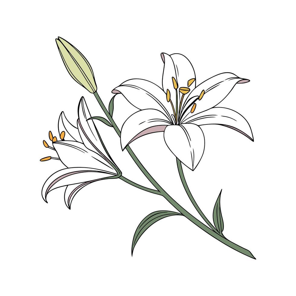 Vibrant Lily Floral Artwork vector