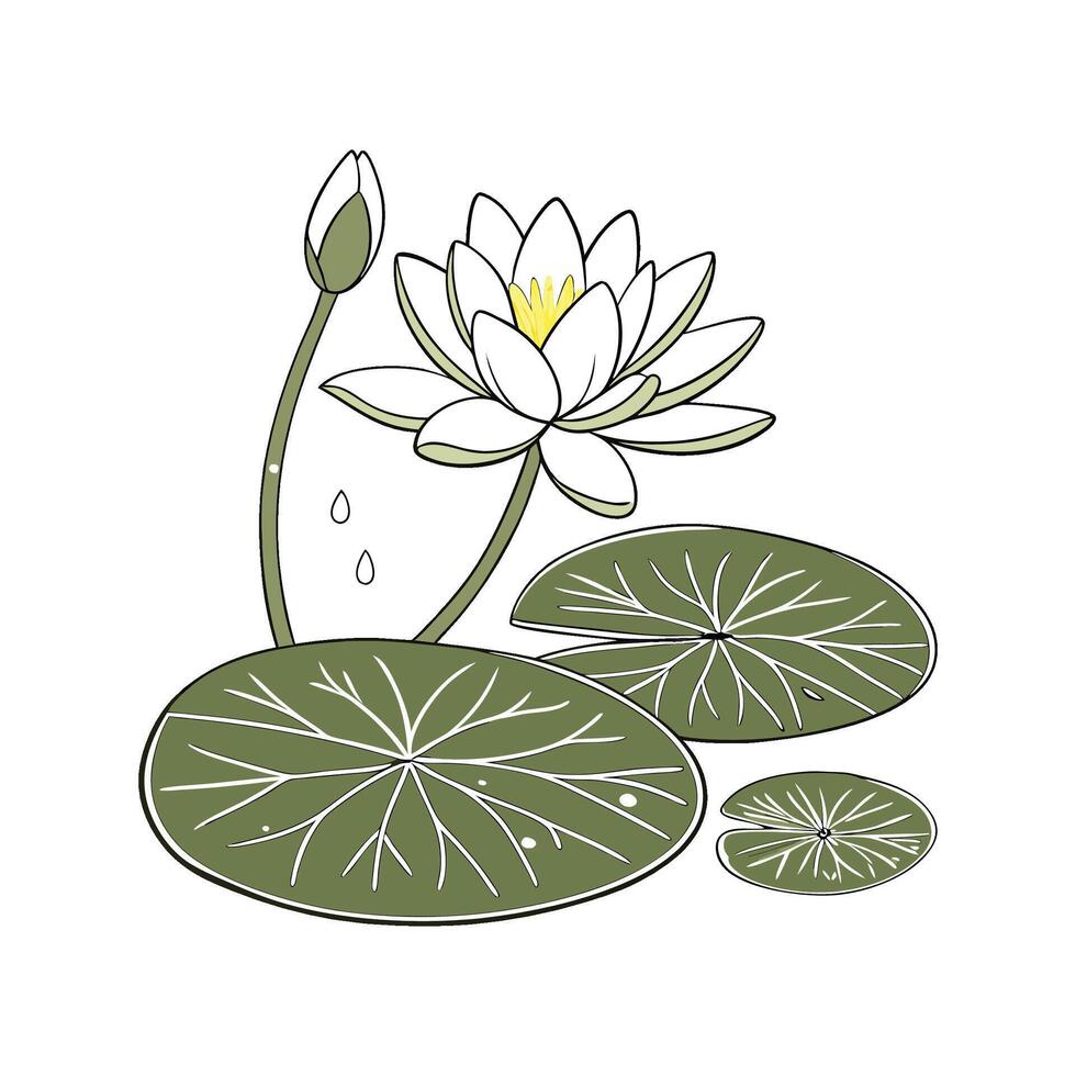 Stylish Lily Pad Illustration vector