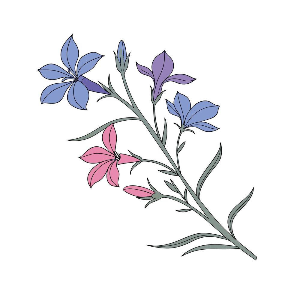 Stunning Lobelia Erinus Illustration vector
