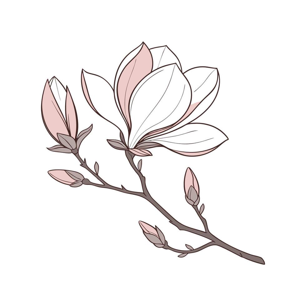 Charming Magnolia Floral Artwork vector