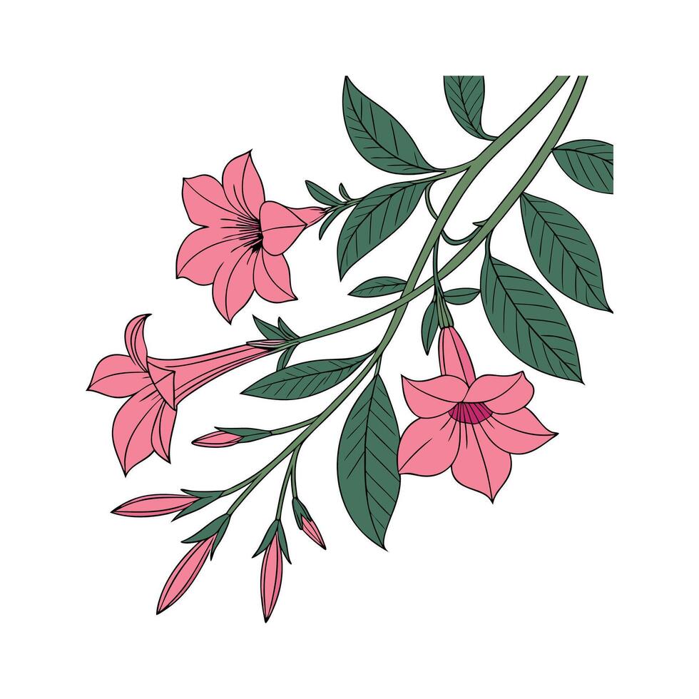 Charming Mandevilla Design on White vector
