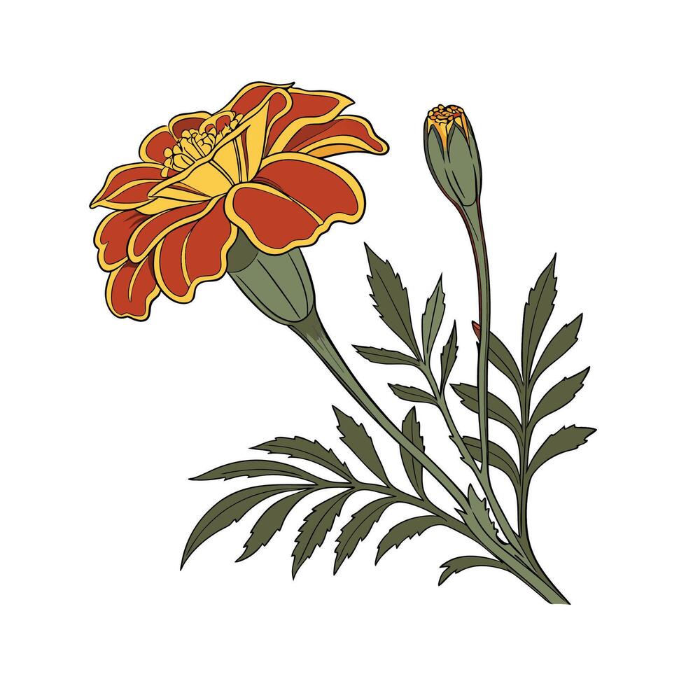 Charming Marigold Flower Design vector