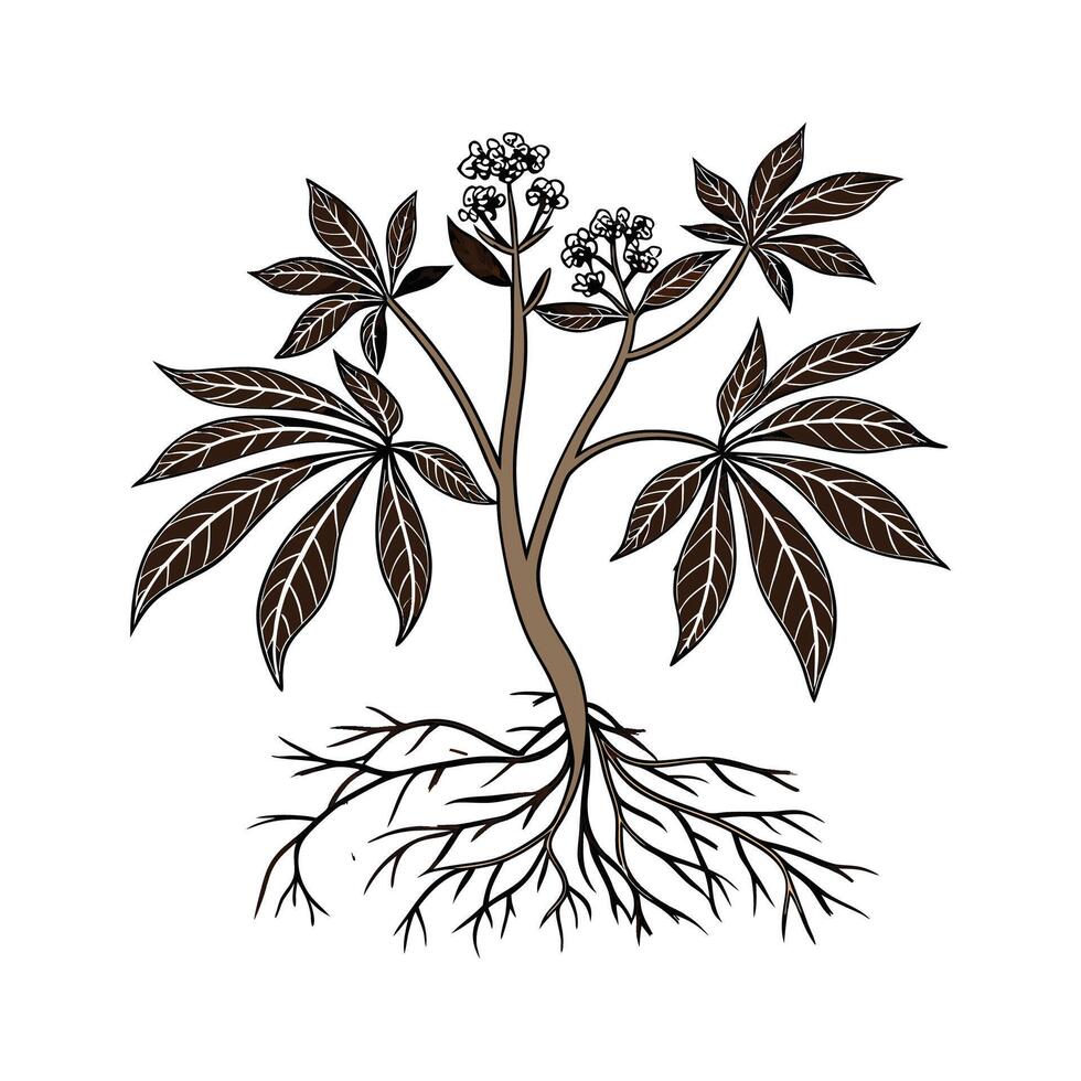 Stylish Mandrake Flower Illustration vector