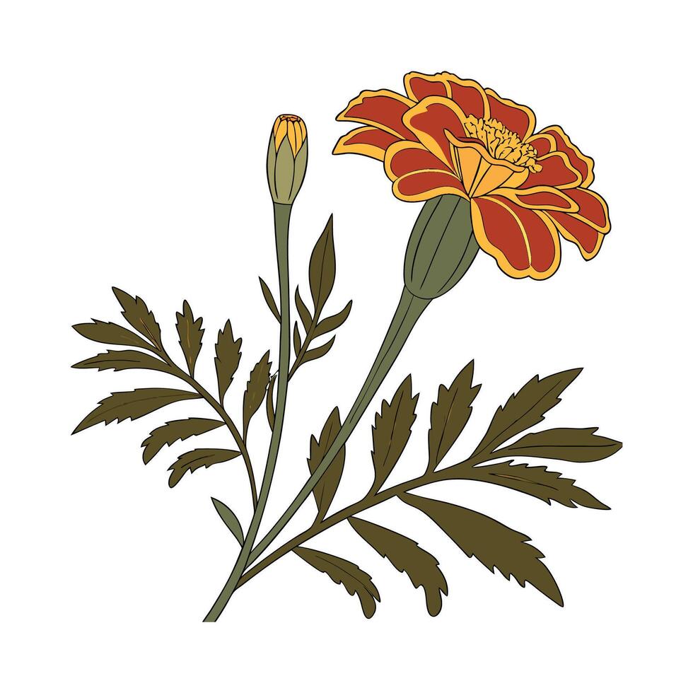 Vibrant Marigold Floral Artwork vector