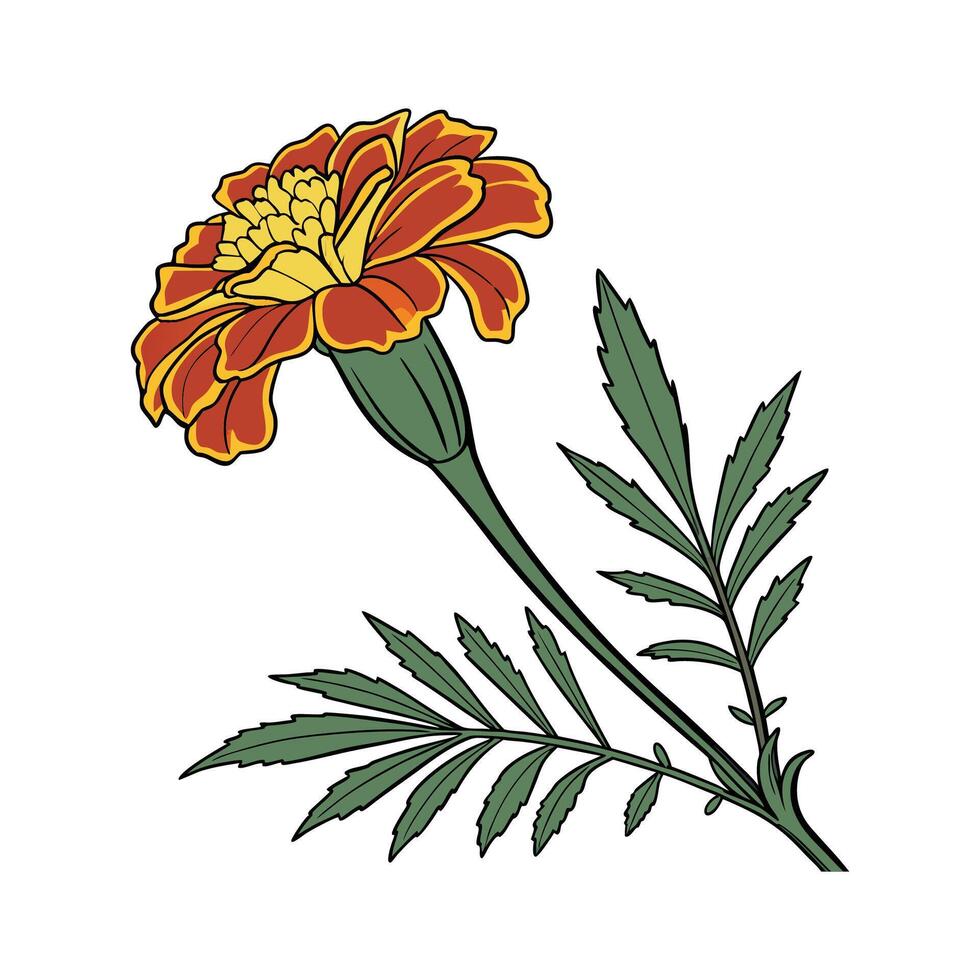 Charming Marigold Flower Artwork vector