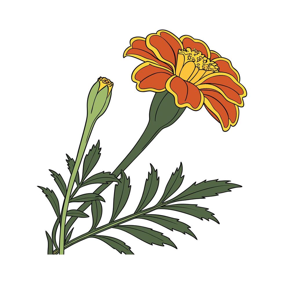 Stylish Marigold Design vector