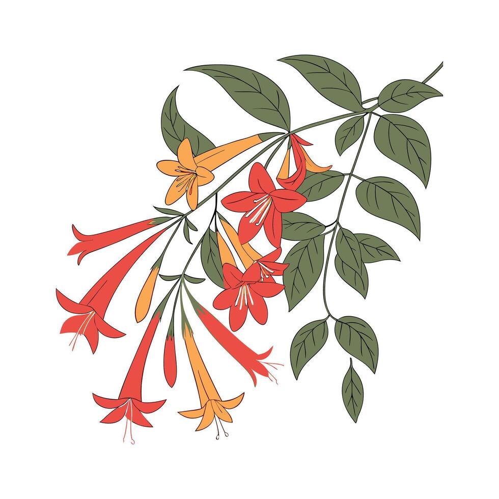 Vibrant Mexican Flame Vine Design vector