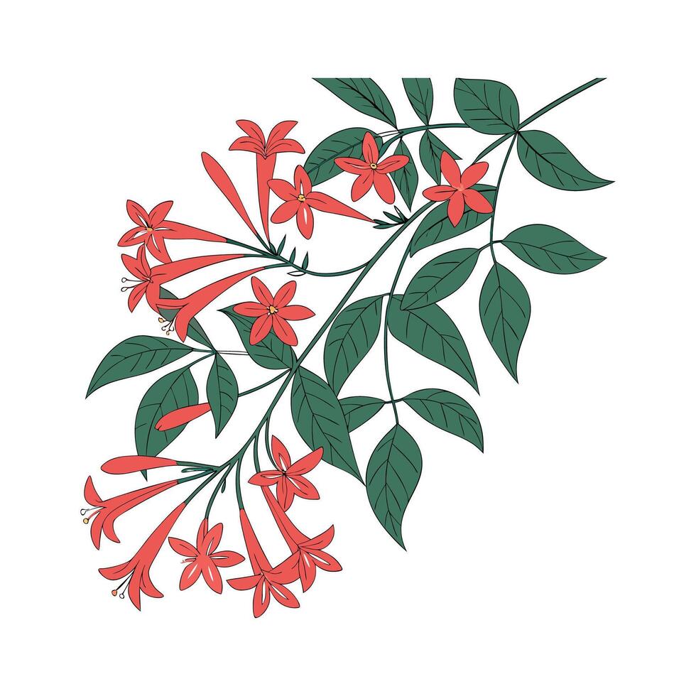 Charming Mexican Flame Vine Artwork vector