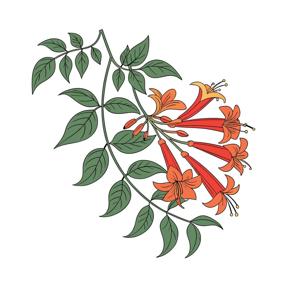 Stylish Mexican Flame Vine Design vector