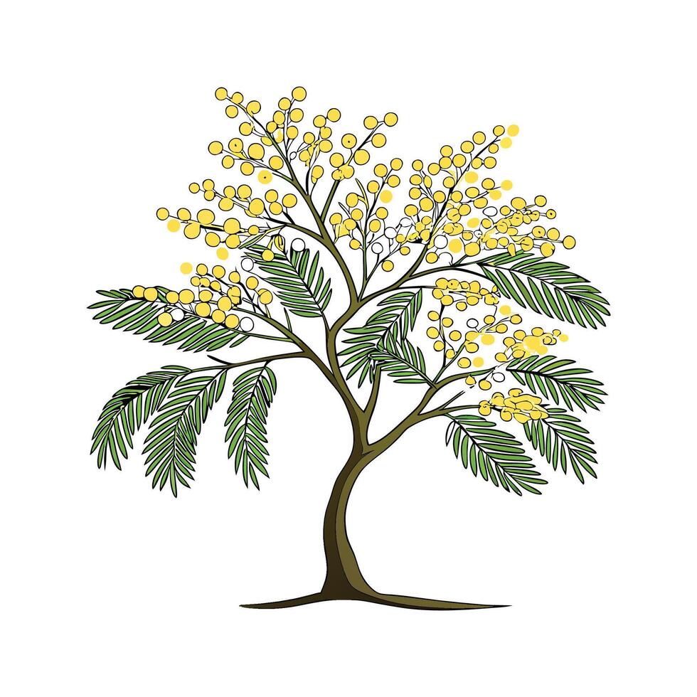 Stylish Mimosa Flower Illustration vector