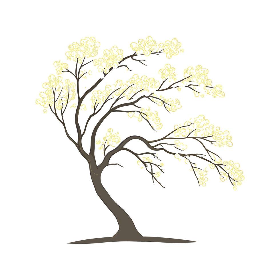 Elegant Mimosa Floral Design vector