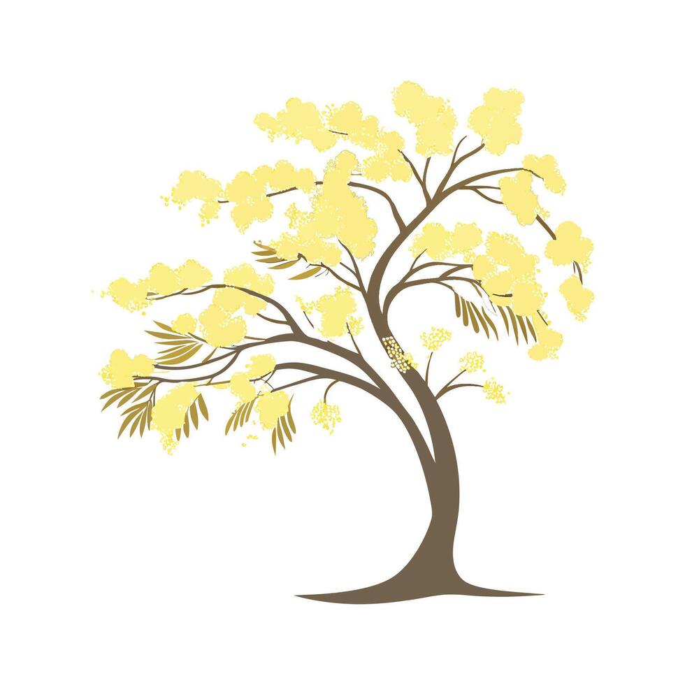 Elegant Mimosa Flower Design vector