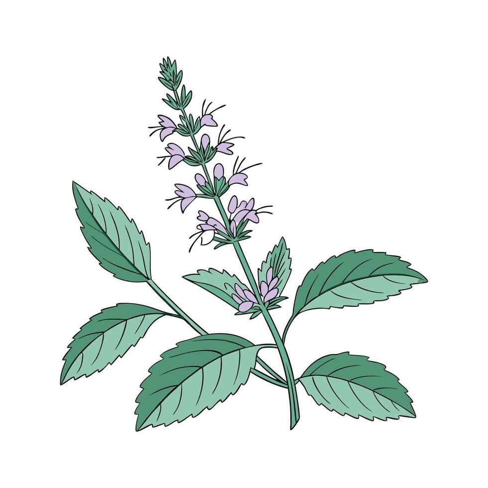 Vibrant Mint Floral Artwork vector