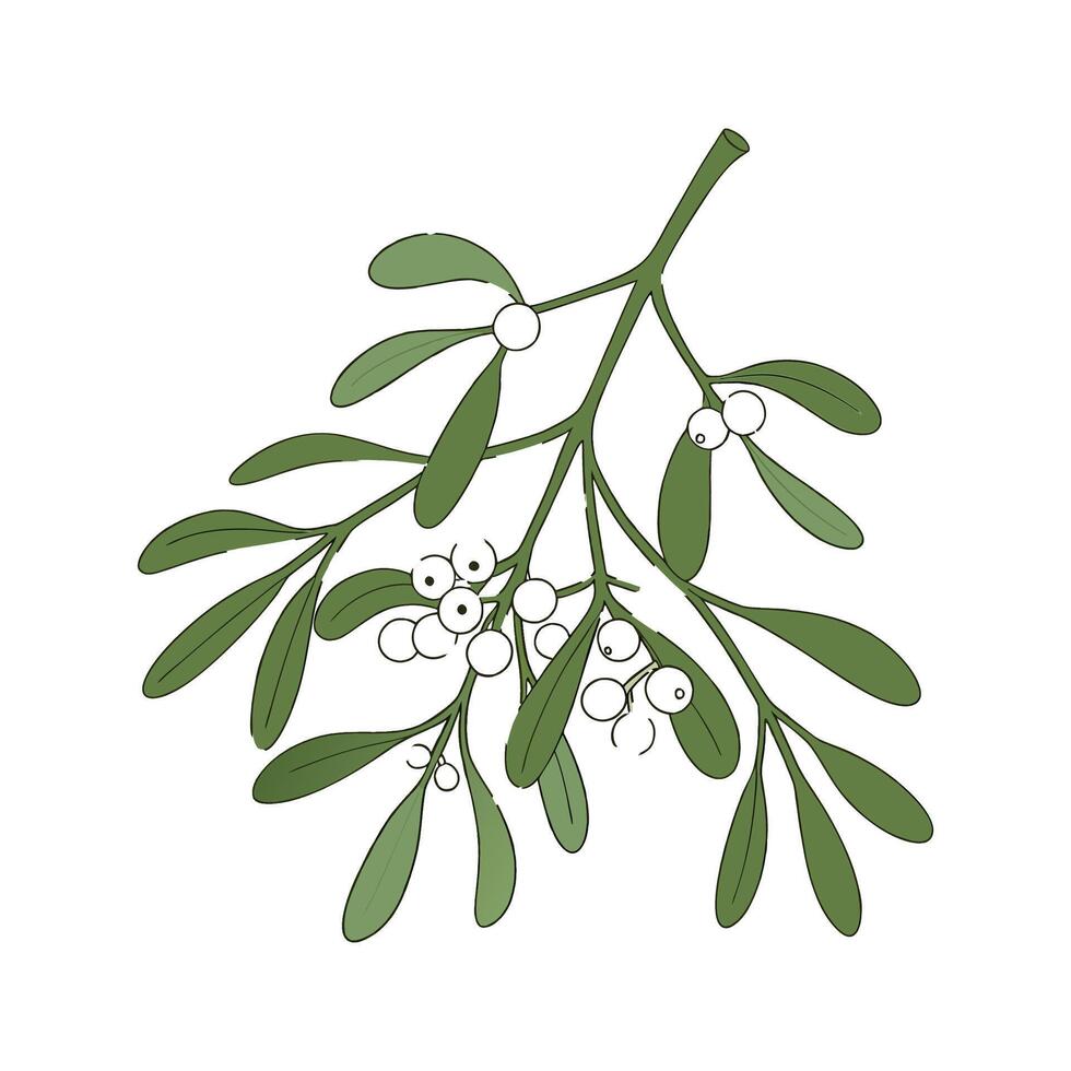 Vibrant Mistletoe Floral Artwork vector