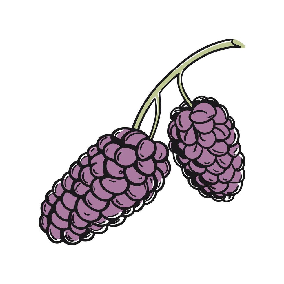 Charming Mulberry Design on White vector