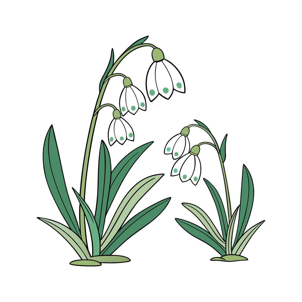 Elegant Muscari Flower Design vector