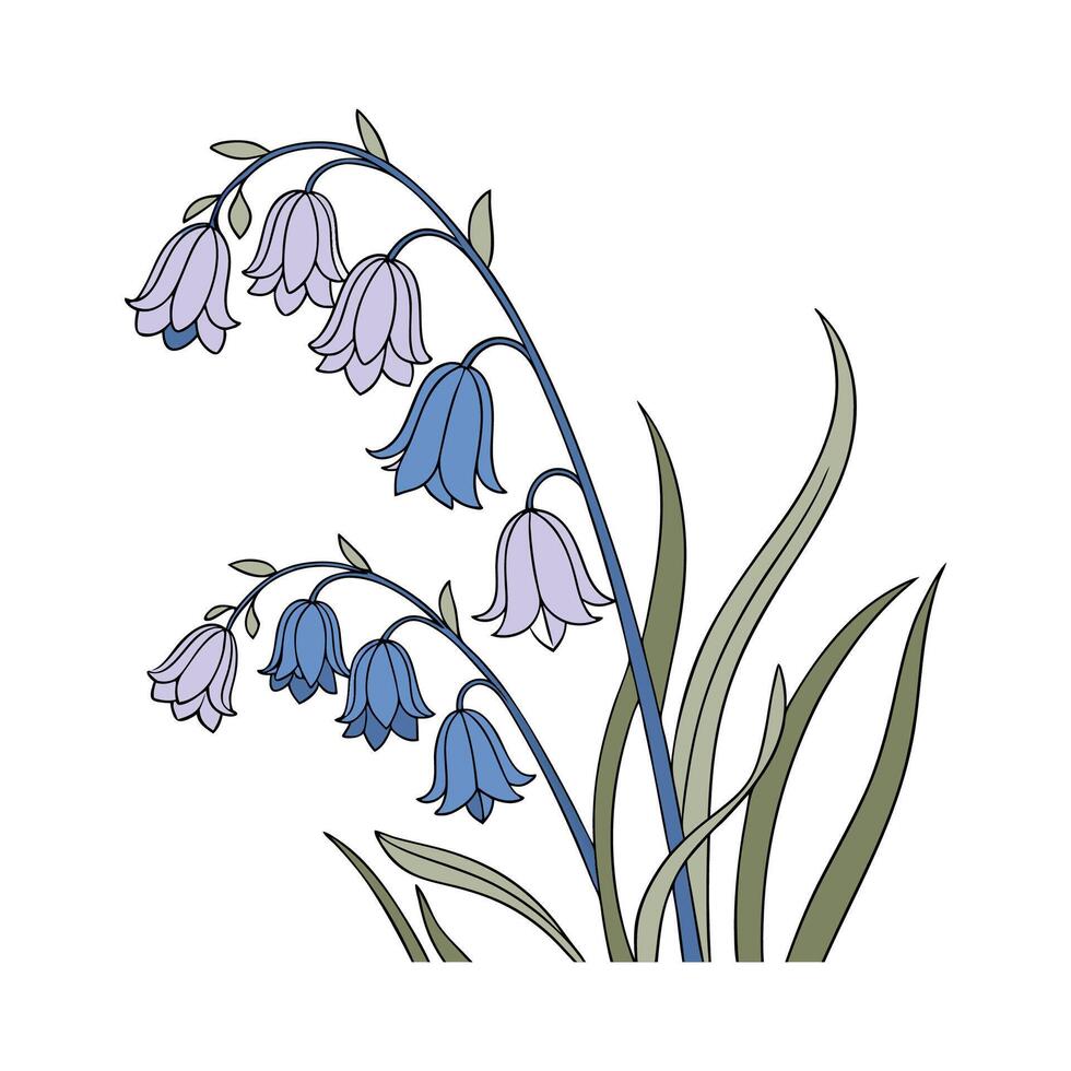 Stylish Muscari Flower Illustration vector
