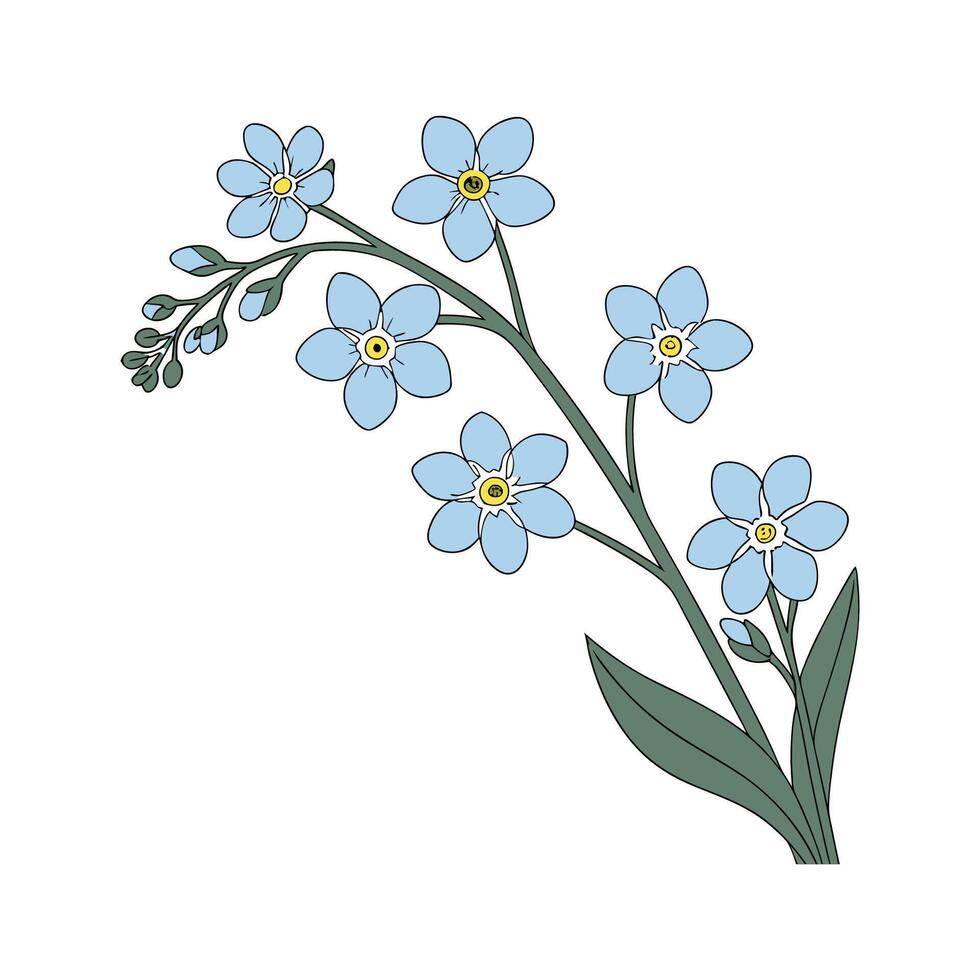 Charming Myosotis Flower Design vector