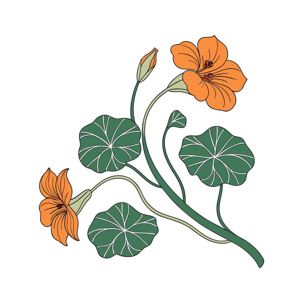 Stylish Nasturtium Flower Design vector