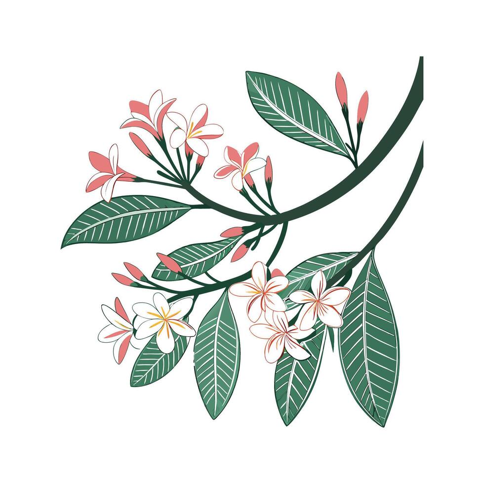 Vibrant Nyctanthes Floral Artwork vector