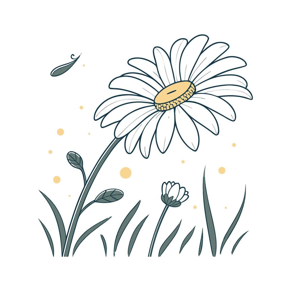 Elegant Oxeye Flower Design vector