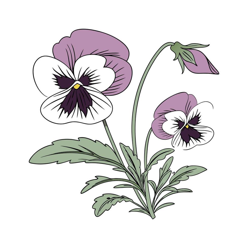 Stylish Pansy Design vector