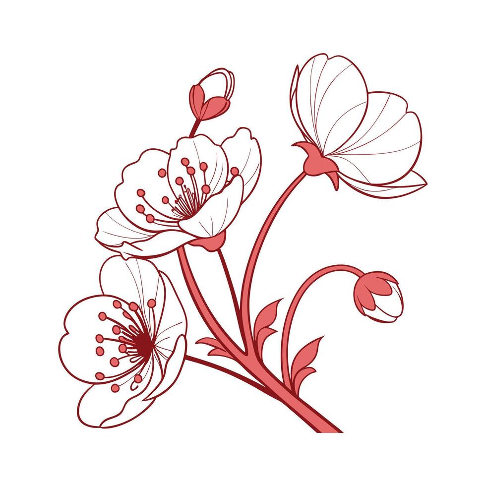 Stylish Papaver Illustration vector