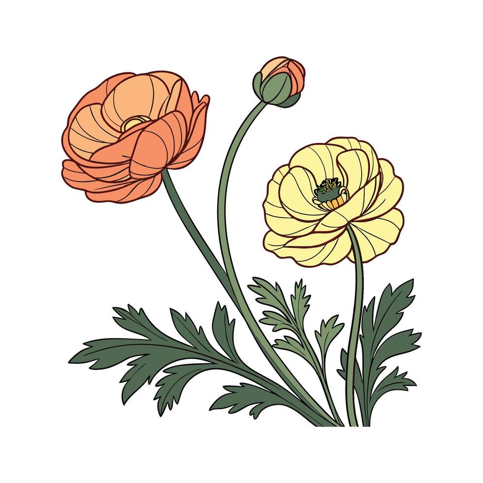 Charming Persian Buttercup Design vector