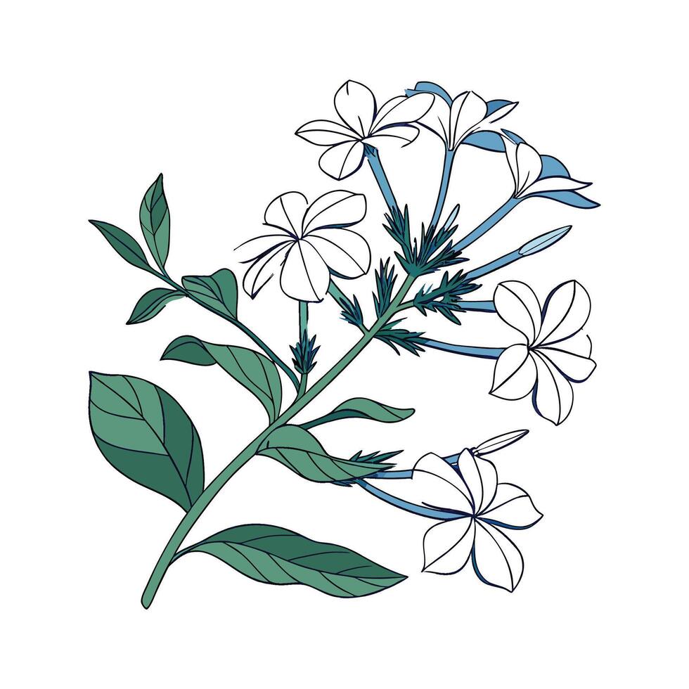 Vibrant Plumbago Floral Artwork vector