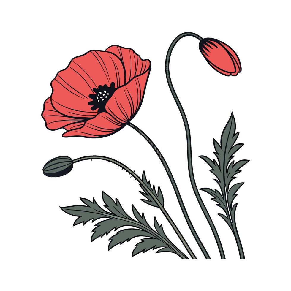 Charming Poppy Flower Design vector