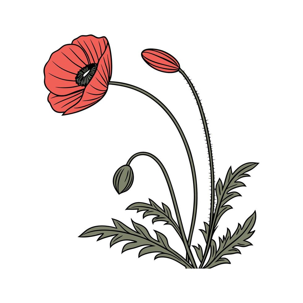 Stylish Poppy Design vector