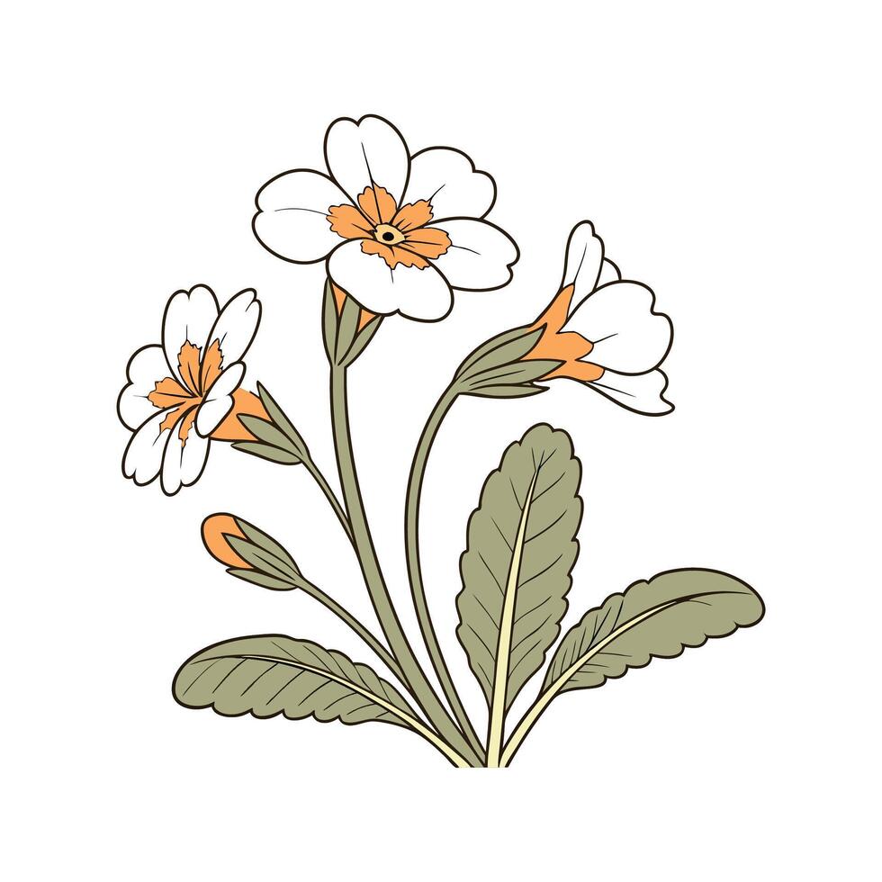 Elegant Primrose Floral Artwork vector