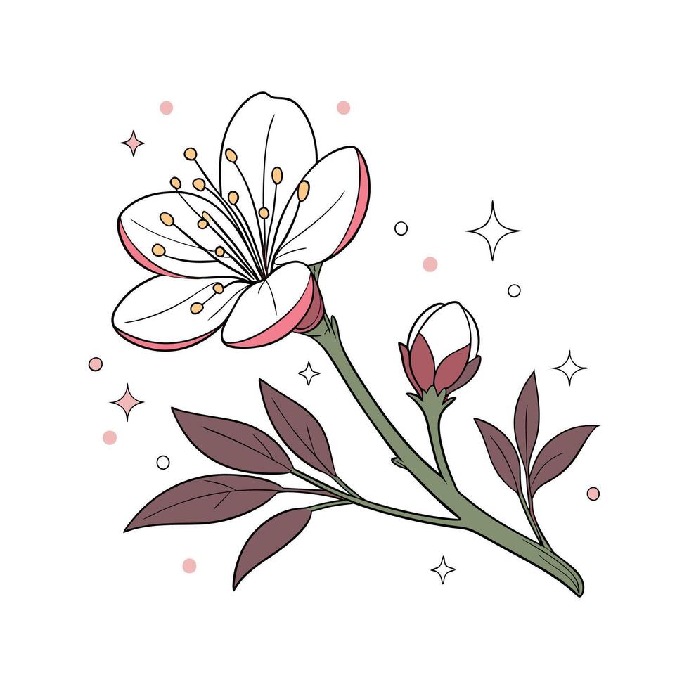 Charming Quinoa Flower Design vector