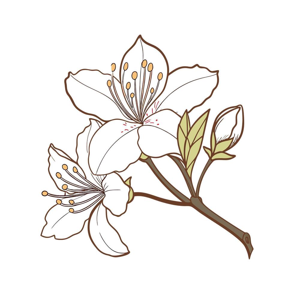 Charming Rhododendron Design vector
