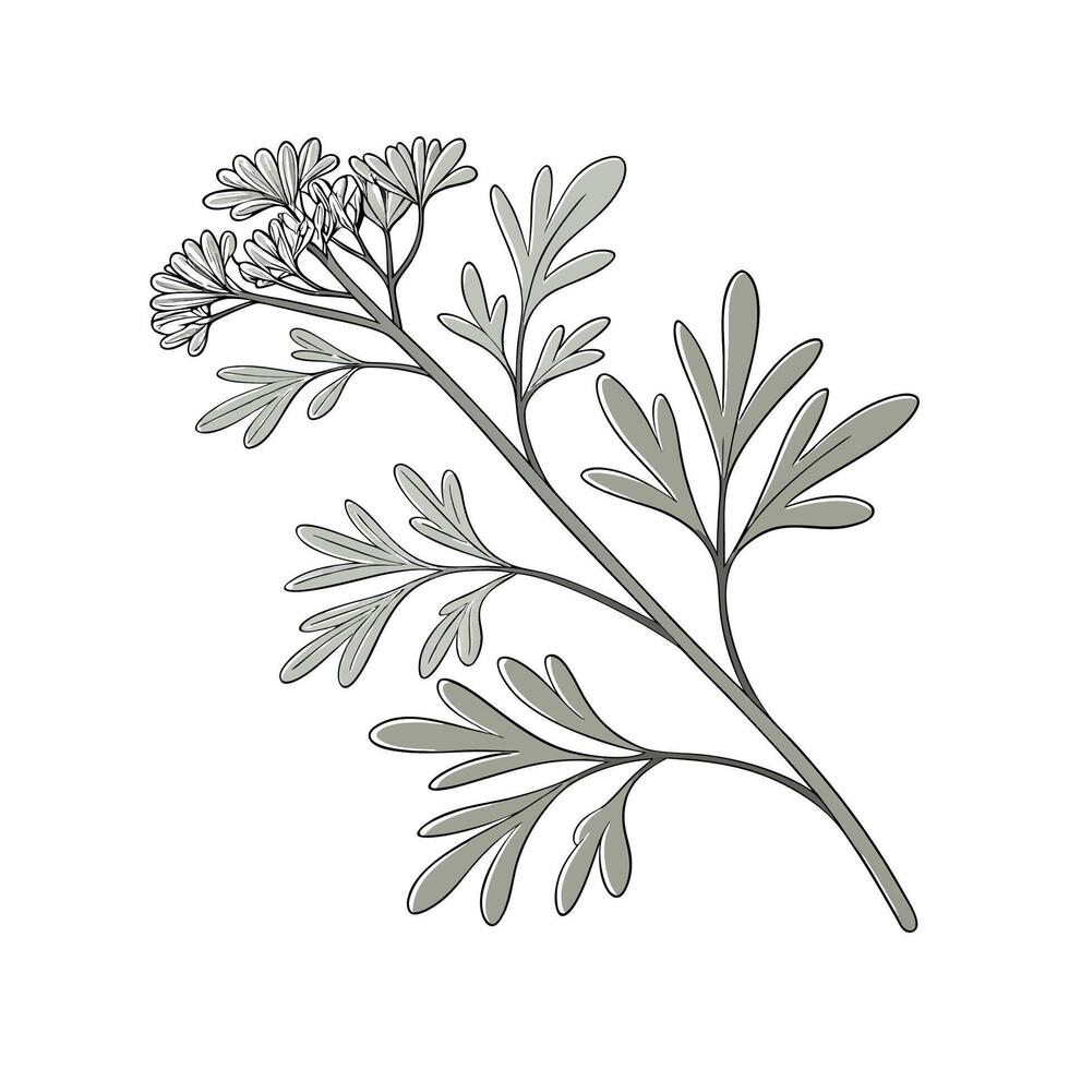 Charming Saltbush Flower Design vector