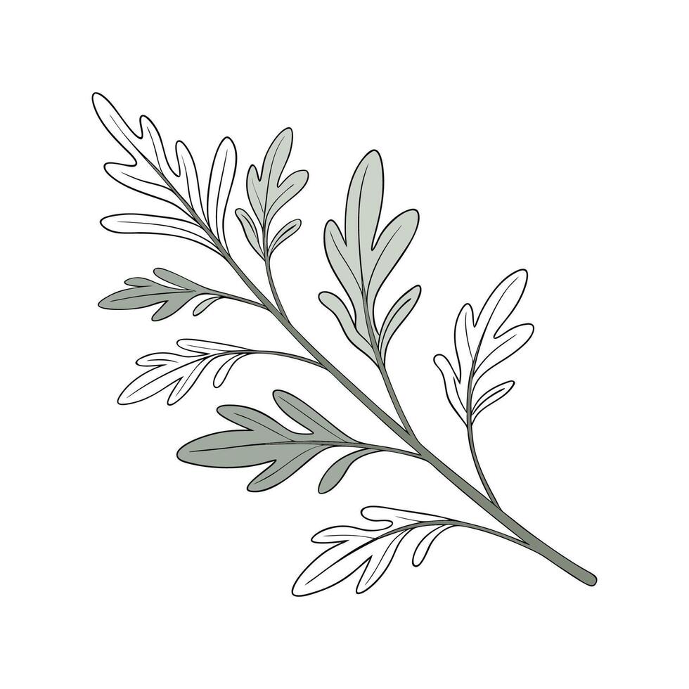 Vibrant Saltbush Floral Artwork vector