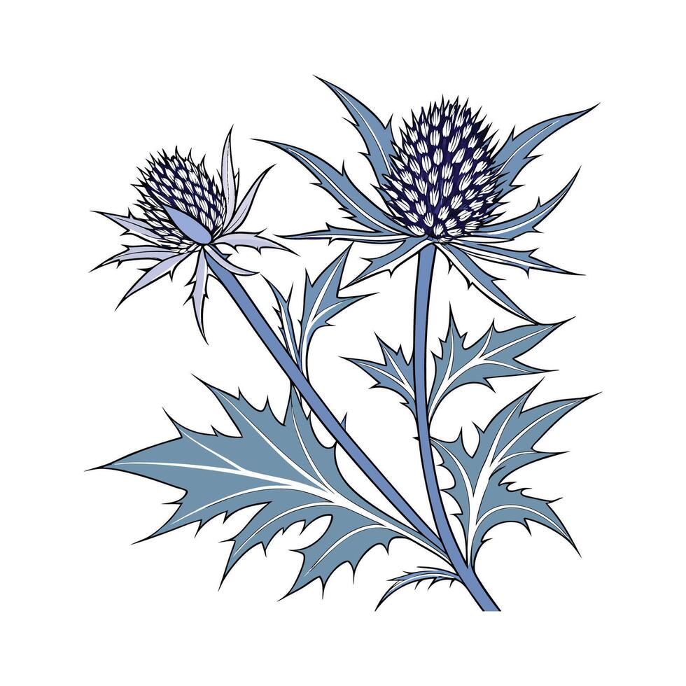 Vibrant Sea Holly Floral Artwork vector