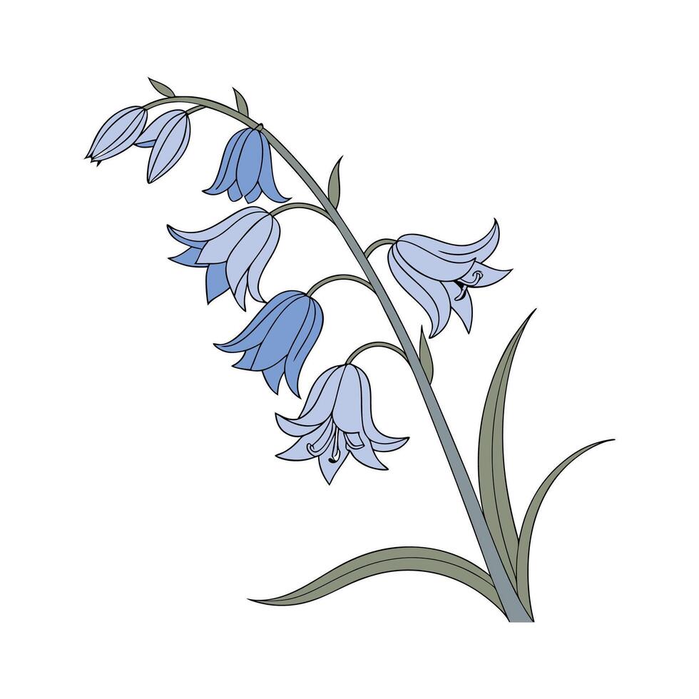 Vibrant Spanish Bluebell Floral Artwork vector
