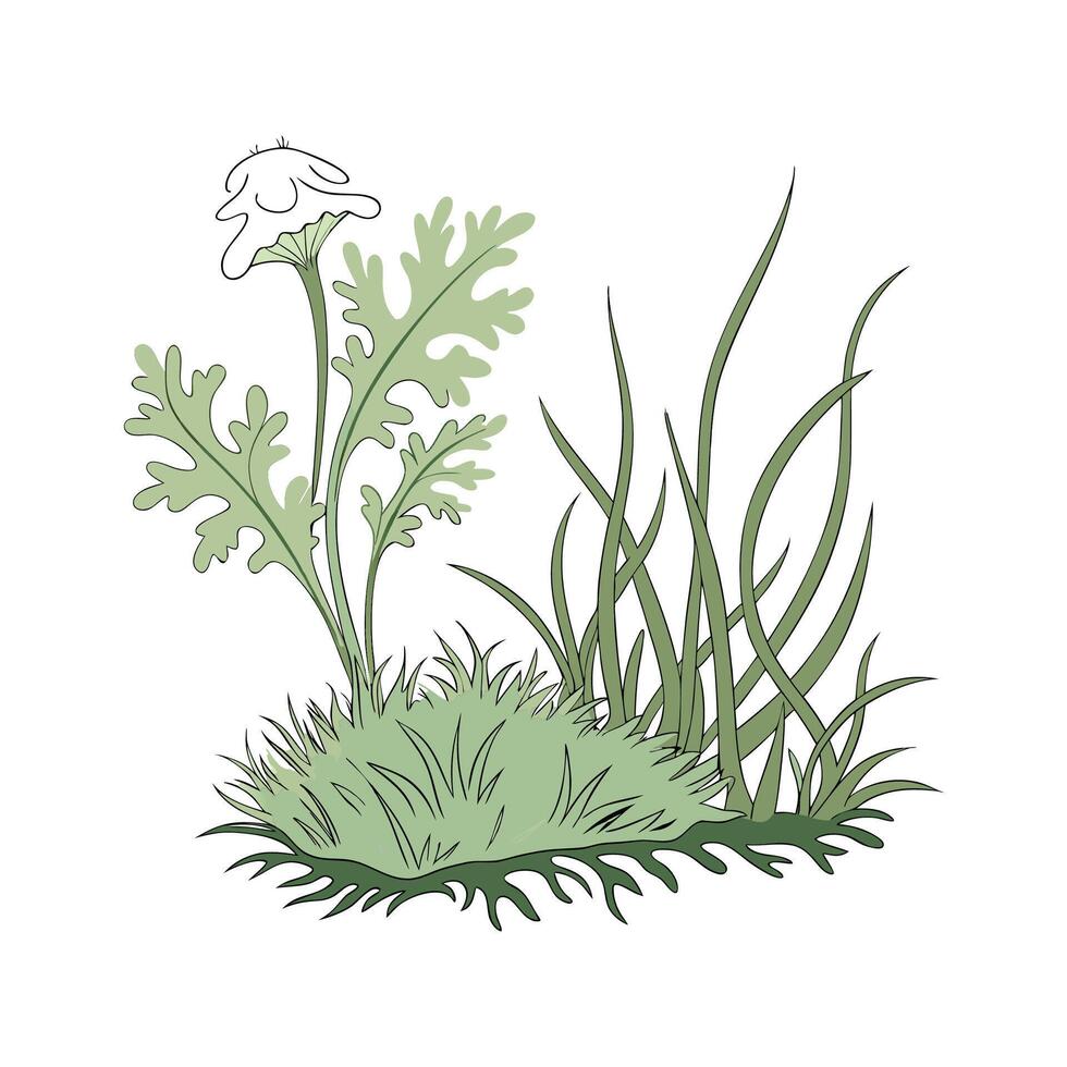 Fresh Sphagnum Moss for Home Decor vector