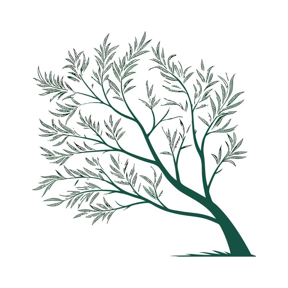 Natural Tamarisk for Unique Garden Styles vector