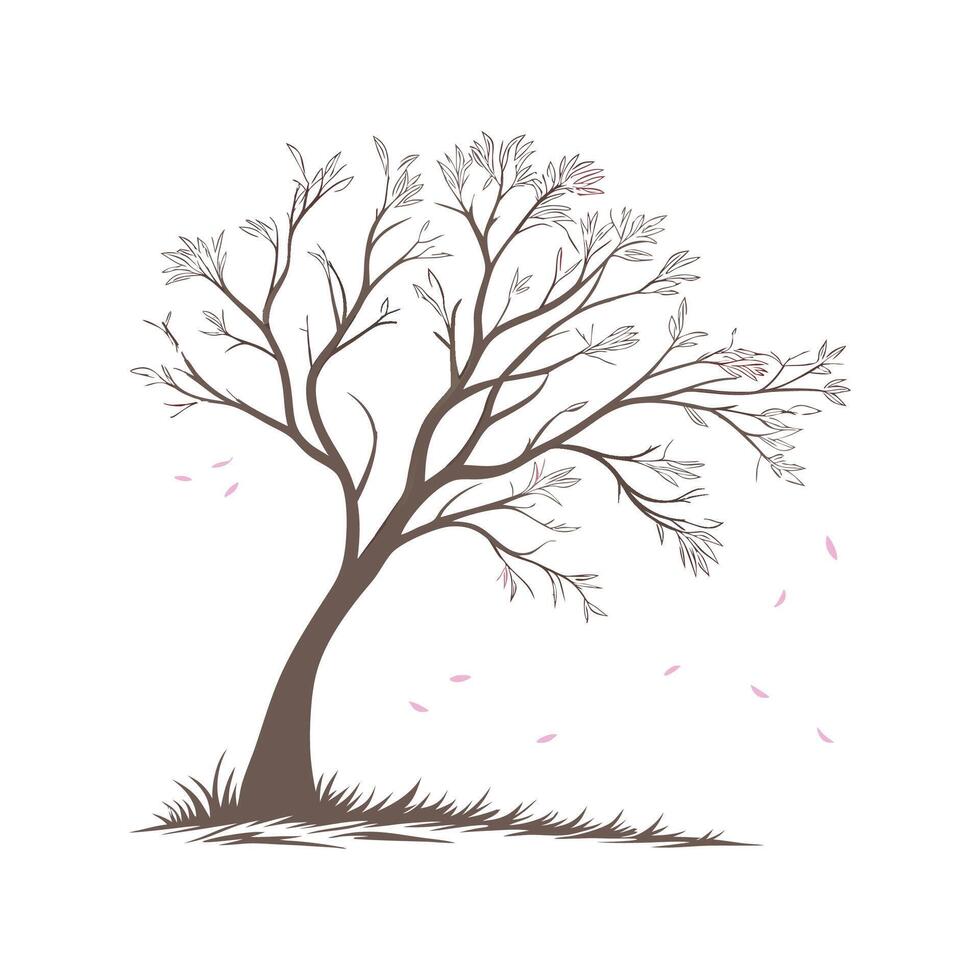 Elegant Tamarisk for Unique Landscape Design vector