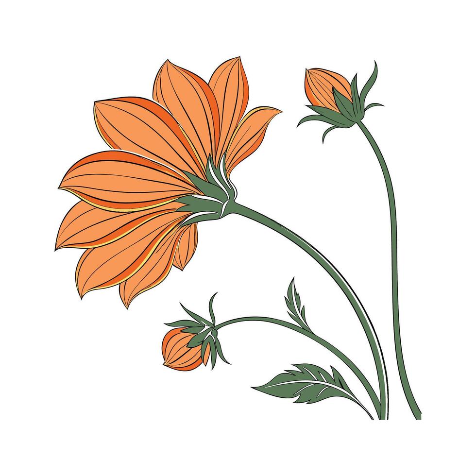 Natural Tithonia for Floral Inspiration vector