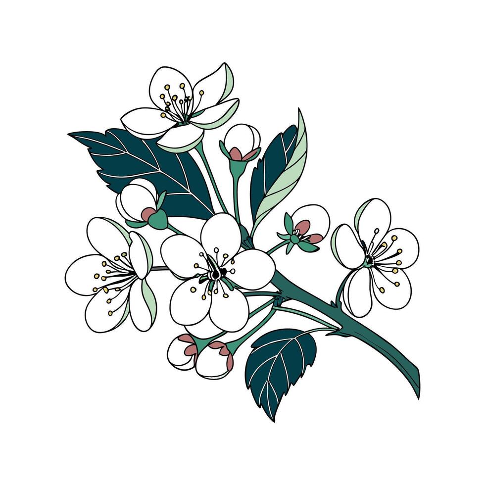 Elegant Viburnum Opulus for Unique Arrangements vector