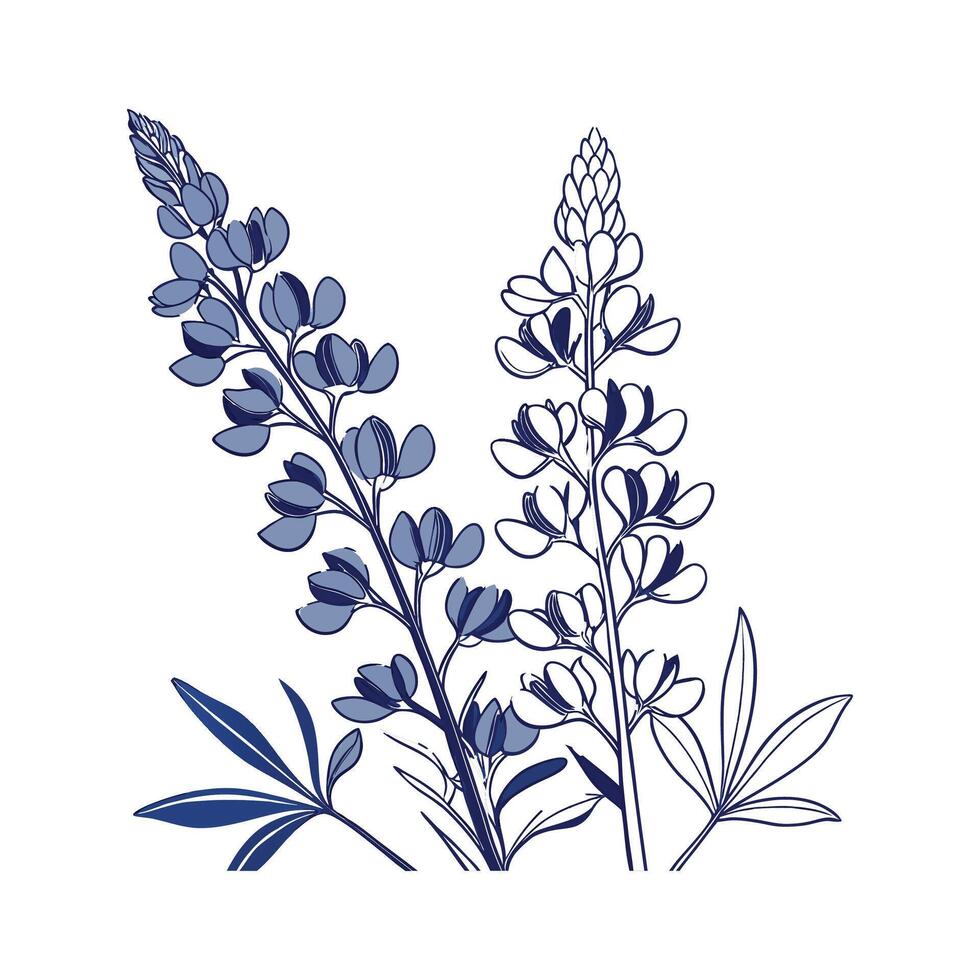 Stunning Wild Indigo for Unique Botanical Art vector